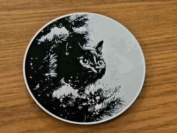 https://makerworld.bblmw.com/makerworld/model/US400555c89b538a/design/2025-12-12_5b0108d222a0d8.jpg