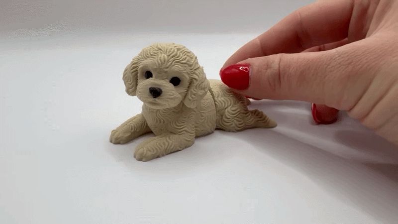 The Flexi-Poodle Pup