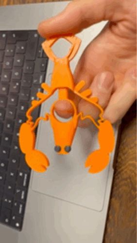 https://makerworld.bblmw.com/makerworld/model/US40112b32c11ddb/design/2024-03-16_c5e430e64bfee.gif