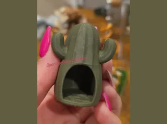 Jumping Spider Cactus Hide