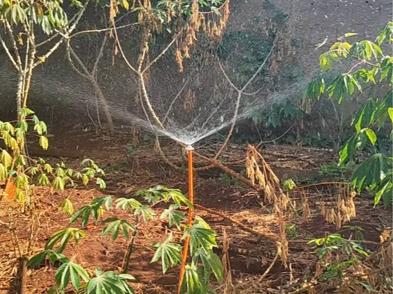Aspersor Ajustável para Jardim e Horta