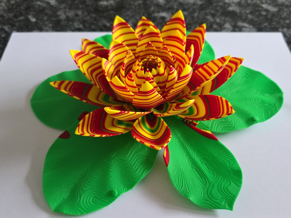 Seerose