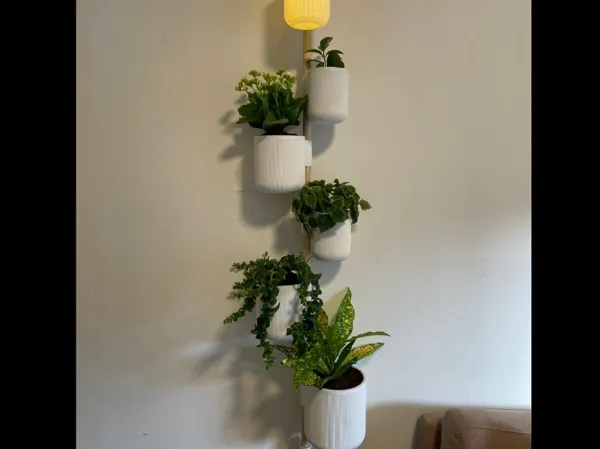 https://makerworld.bblmw.com/makerworld/model/US401a7f32d557f0/design/e6e9de201eeb013d.png