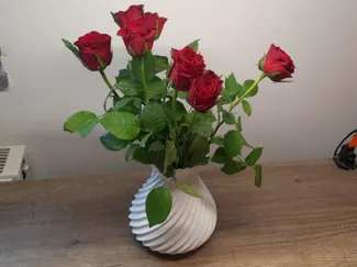 Spiral Vase-Modern Decoration Vase