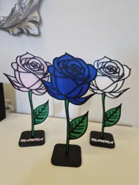 Rosa con basetta senza nome