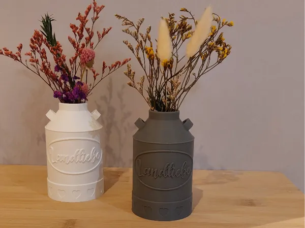 https://makerworld.bblmw.com/makerworld/model/US4022ce657c332/design/78e244f8d2906a30.jpg