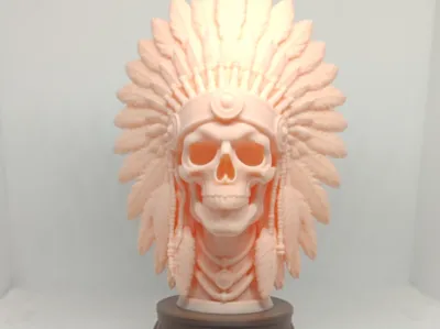 Indian Featherd Skull