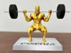 SQUAT MAN