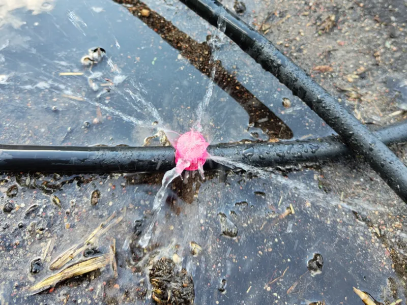 Garden Sprinkler with Interchangeable Nozzle