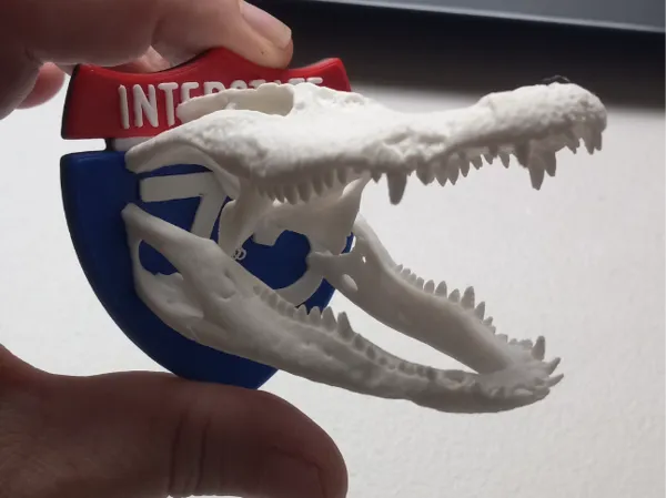 https://makerworld.bblmw.com/makerworld/model/US4032aa8423cf/design/2025-02-17_58f0917ceea9c.jpg