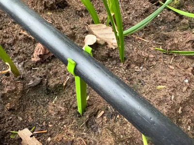 water hose holder
