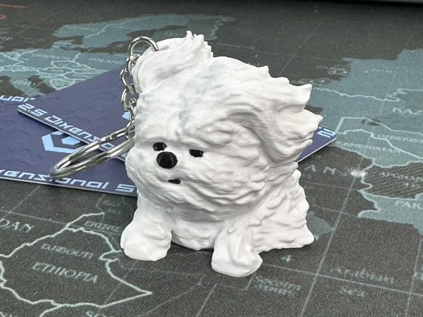 https://makerworld.bblmw.com/makerworld/model/US403faea6ffca8e/design/2024-11-16_bf06b1600584.jpg