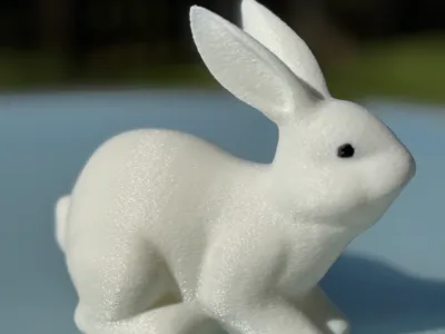 Cute Bunny / Easter Bunny