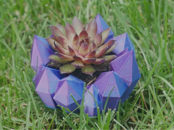 https://makerworld.bblmw.com/makerworld/model/US40487aef84acaf/design/2024-06-13_ccaff0990b661.png