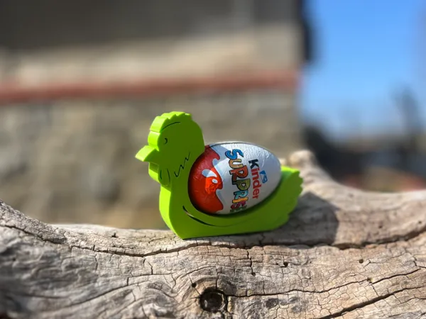 https://makerworld.bblmw.com/makerworld/model/US4048cc23adc98e/design/2025-03-29_e9e2e4e4047058.jpeg