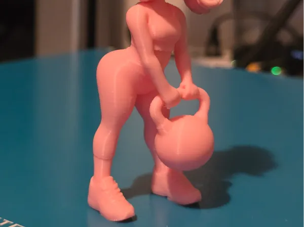 https://makerworld.bblmw.com/makerworld/model/US40503fea30d9f2/design/b8fe2cc80aca0d31.jpg