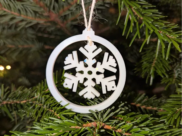 https://makerworld.bblmw.com/makerworld/model/US40536b2c594974/design/2025-12-21_dde22e402c22e8.jpg