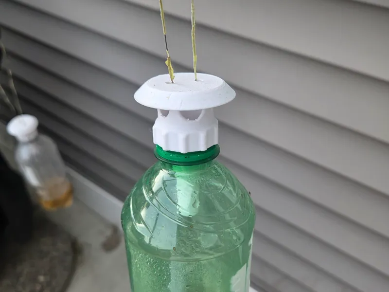 Hanging Wasp Trap - 12 oz - 2 Liter Soda Bottles
