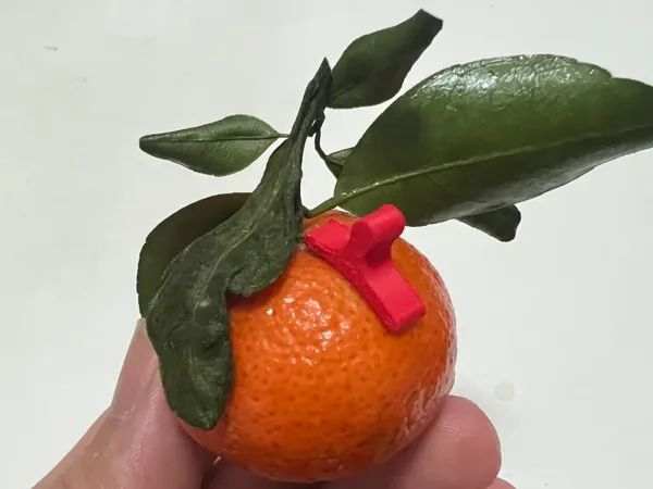 https://makerworld.bblmw.com/makerworld/model/US405c18267e705a/design/42fc845b-edd8-4d43-85b8-c92fd06a9693.webp
