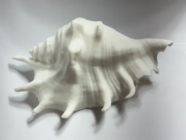 https://makerworld.bblmw.com/makerworld/model/US406524d9d84c5c/design/17f52a8128dbbd96.jpg