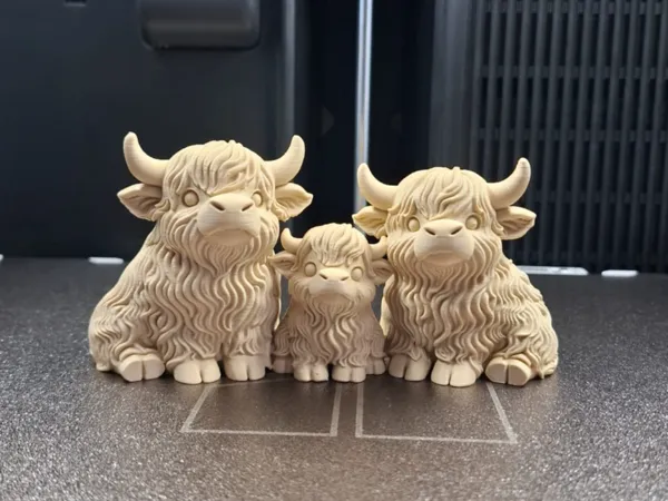 https://makerworld.bblmw.com/makerworld/model/US40655d1019661a/design/2026-01-15_354eb3a5de37c8.jpg