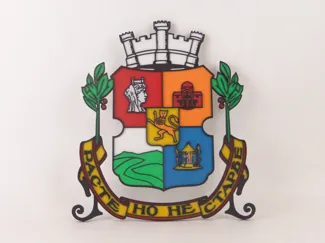 Sofia city - Coat of arms