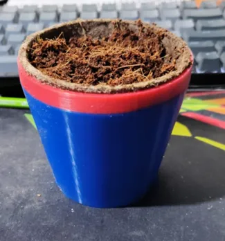 Maceta Carton / Cardboard Pot 