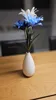 All variants - 0.8mm nozzle, 0.4mm layer, Vase mode