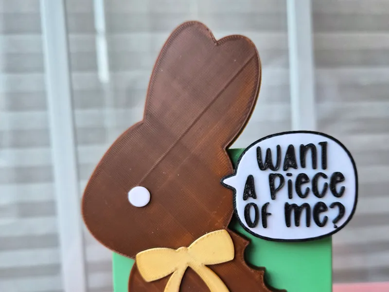 Choco Bunny Soap Holder