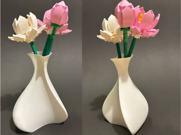 https://makerworld.bblmw.com/makerworld/model/US406facfe69d807/design/2025-02-17_fab3722786c4a.jpeg
