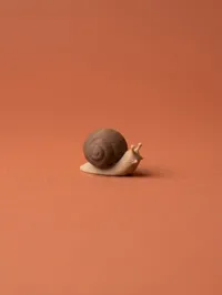 Two color, 0.12mm layer, 2 walls, 15% infill