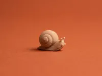 Single color, 0.12mm layer, 2 walls, 15% infill