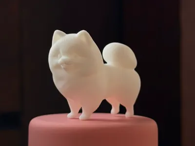 Small Pomeranian Lulu dog
