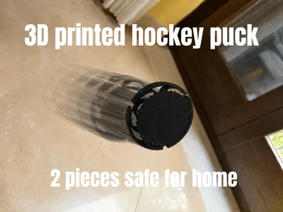 3D printed hockey puck - only 2 pieces