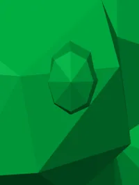 Tortue low poly — photo 5
