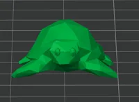 Tortue low poly — photo 4