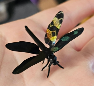 Miniatura 1 do modelo 3D Real Bug Hunt - Dragonfly