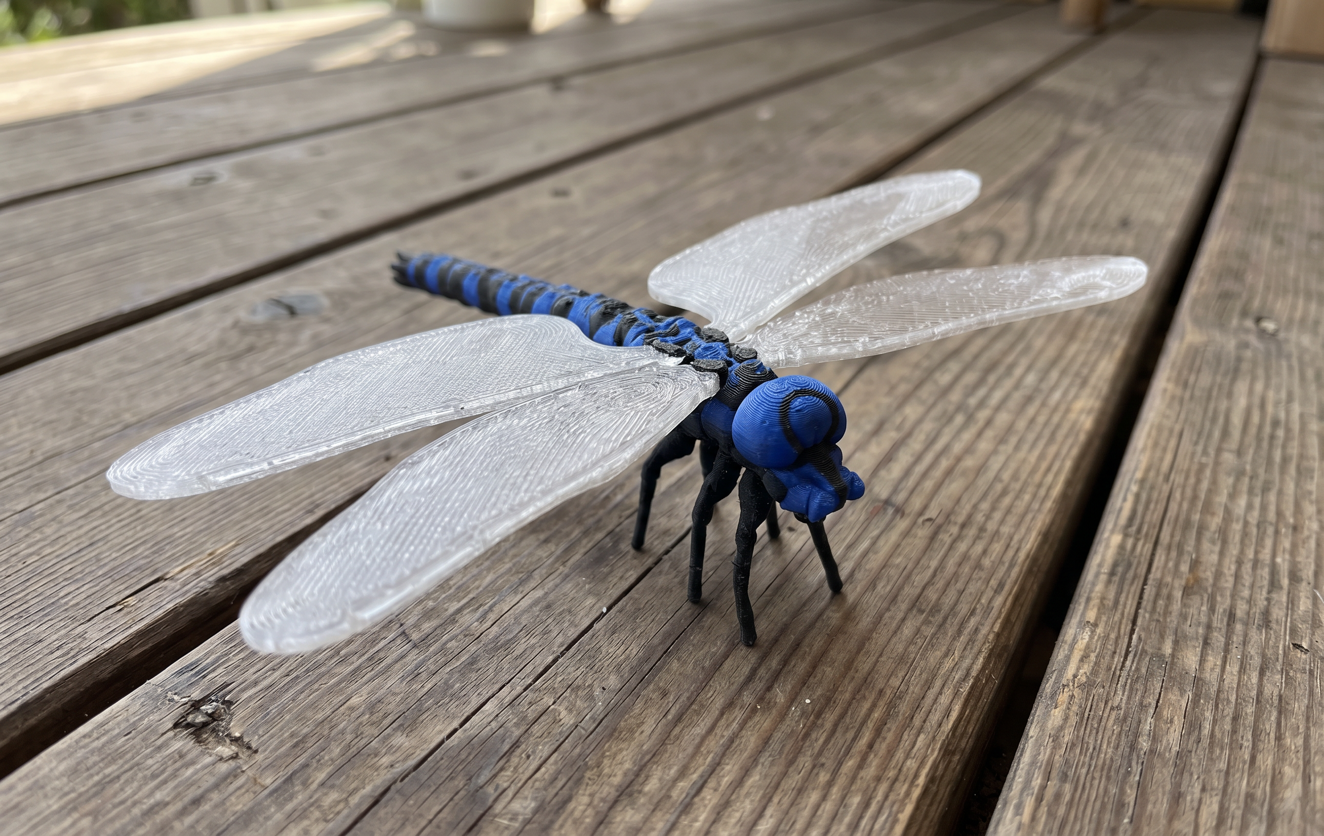 Miniatura 3 do modelo 3D Real Bug Hunt - Dragonfly