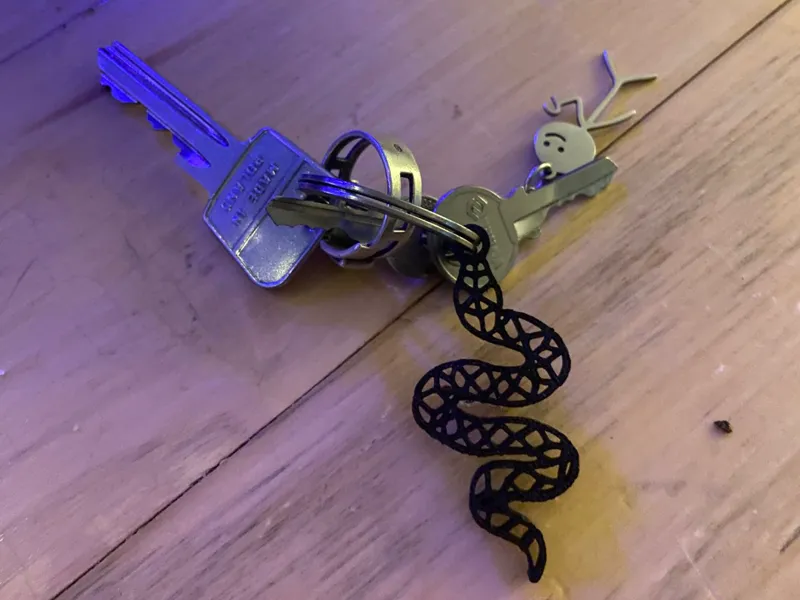 Snake Keychain