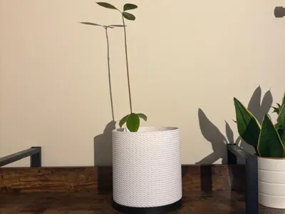 Basket Shape Plant Pot 20cm