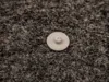 Torx T10 Cap - 0.2mm layer, 2 walls, 15% infill
