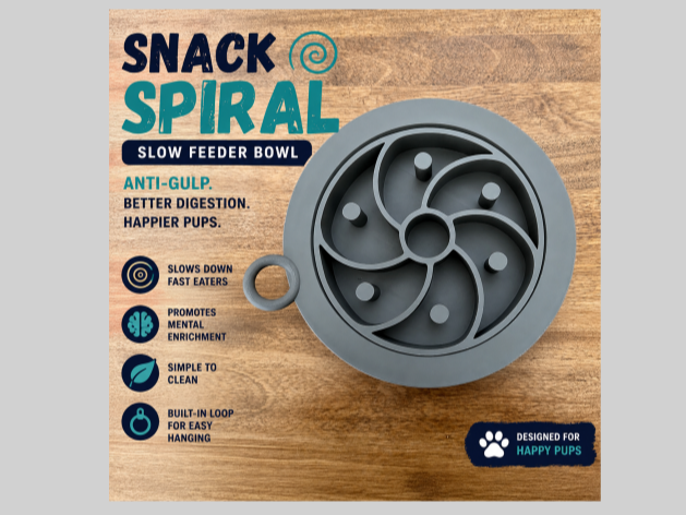 Snack Spiral Slow Feeder Bowl