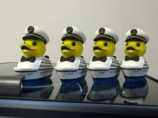 Captain Duck