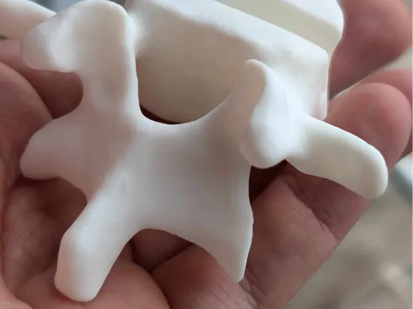 https://makerworld.bblmw.com/makerworld/model/US40b0c1fcaf3d19/design/2024-10-27_bbb5447cae11f.jpg