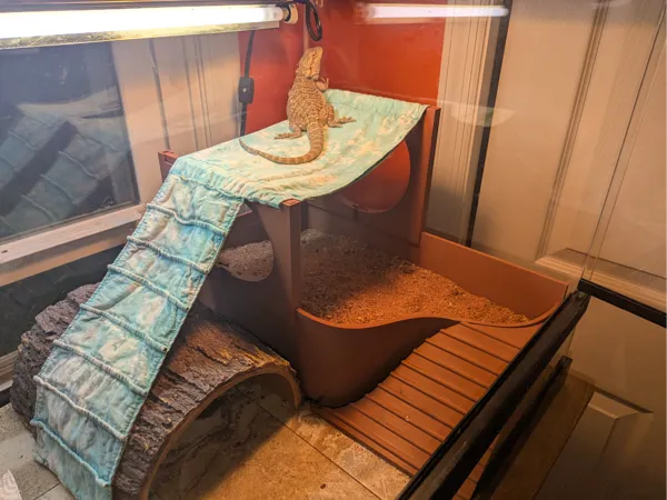 https://makerworld.bblmw.com/makerworld/model/US40b0cc9d9f8912/design/2025-06-21_1f19099c69c55.jpg