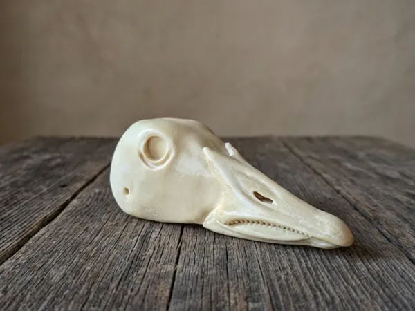 https://makerworld.bblmw.com/makerworld/model/US40b1401fe14ac1/design/a12f37c1a8b4182c.png