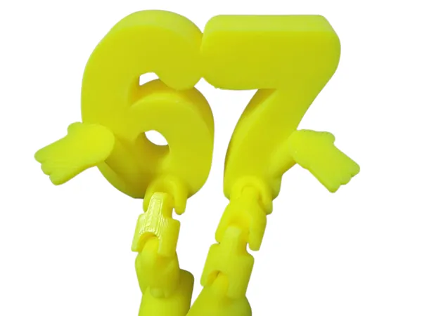 https://makerworld.bblmw.com/makerworld/model/US40b337dbe5ccca/design/2025-11-04_c0ff799e343118.png