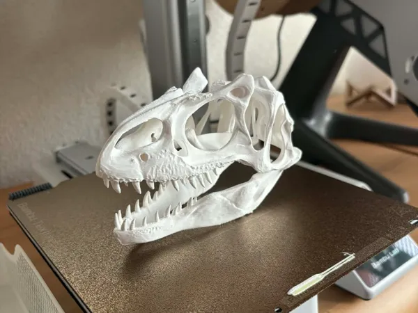 https://makerworld.bblmw.com/makerworld/model/US40b3a4d9d6d293/design/6b42f20f2ea4bc5c.jpg