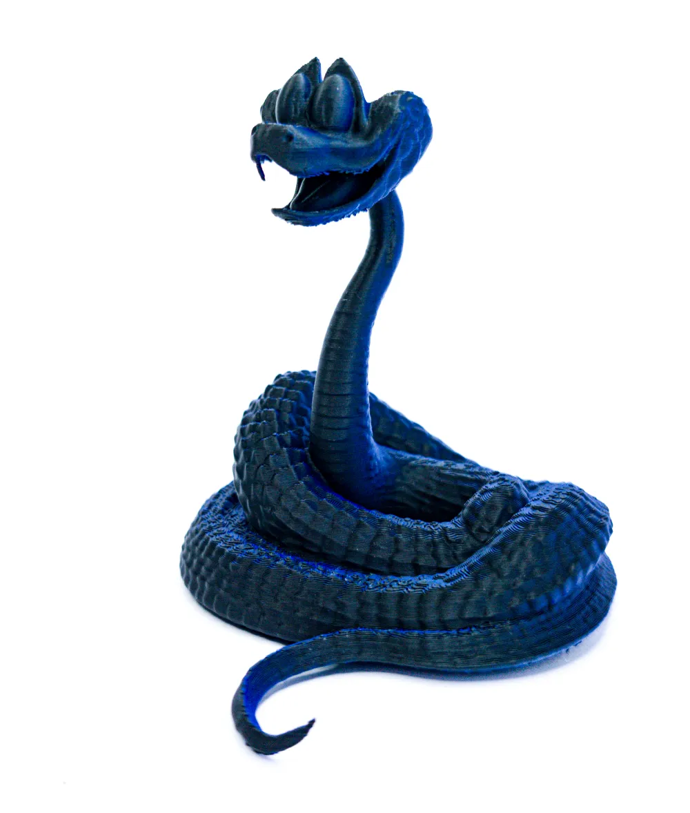 2 GARY DE SNAKE visual data 8