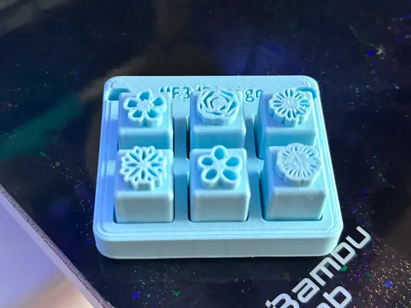 https://makerworld.bblmw.com/makerworld/model/US40c37cbbb04735/design/2025-02-05_ec1be6ece723b.jpg